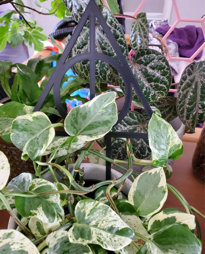 deadly hollow plant holder