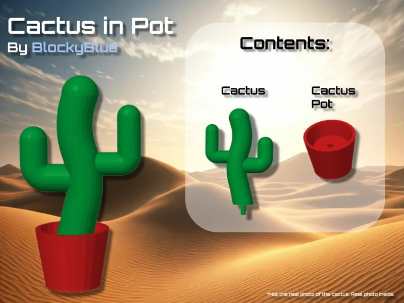 Cactus in a Pot