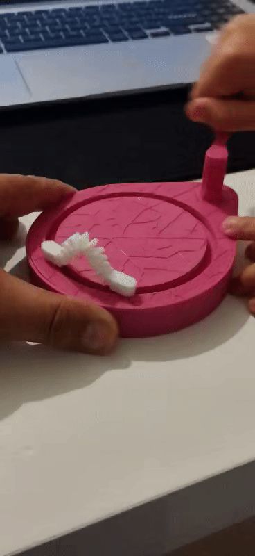 https://makerworld.bblmw.com/makerworld/model/DSM00000000630335/design/2024-09-08_753a8b109b6f7.gif