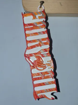 keychain, hangable writing, anime - Fairy Tail