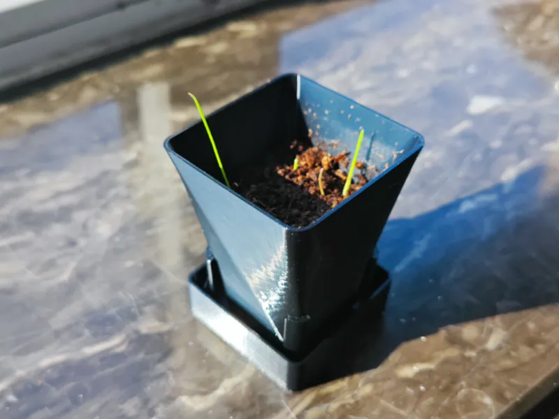 便于换盆的育苗盆【Nursery pots】
