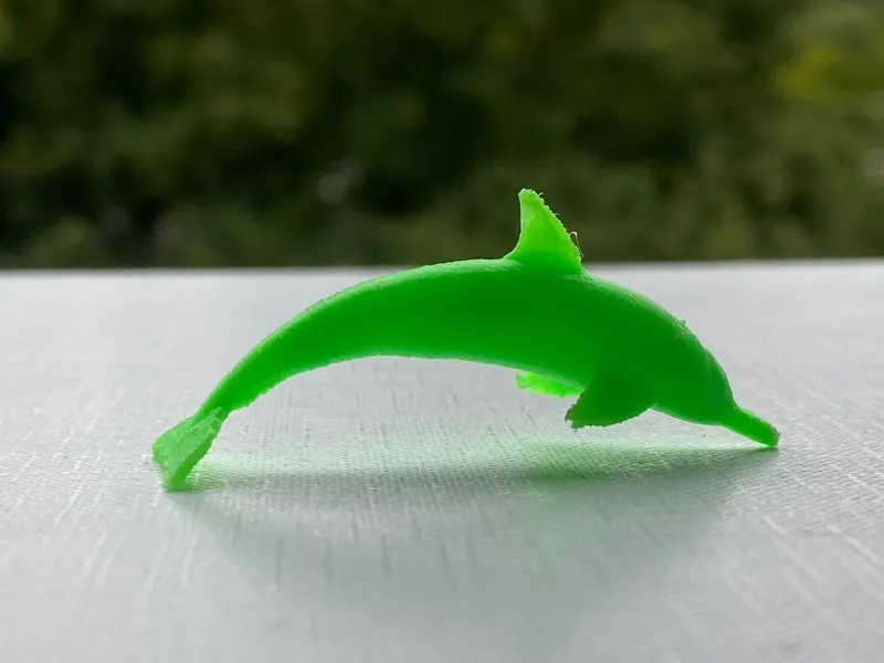 Dolphin