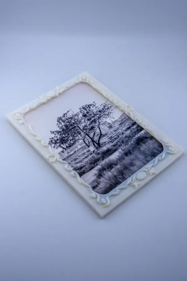 https://makerworld.bblmw.com/makerworld/model/DSM00000000631734/design/2024-09-10_0469sgfl5s08.jpg