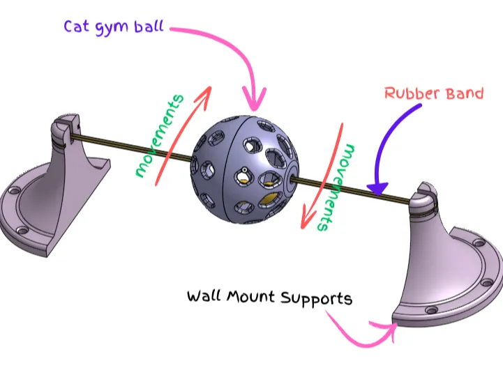 Cat Gym Ball 