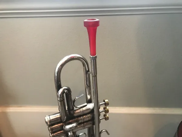 https://makerworld.bblmw.com/makerworld/model/DSM00000000632294/design/2024-09-09_cff3060b87608.webp