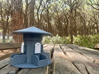 bird feeder