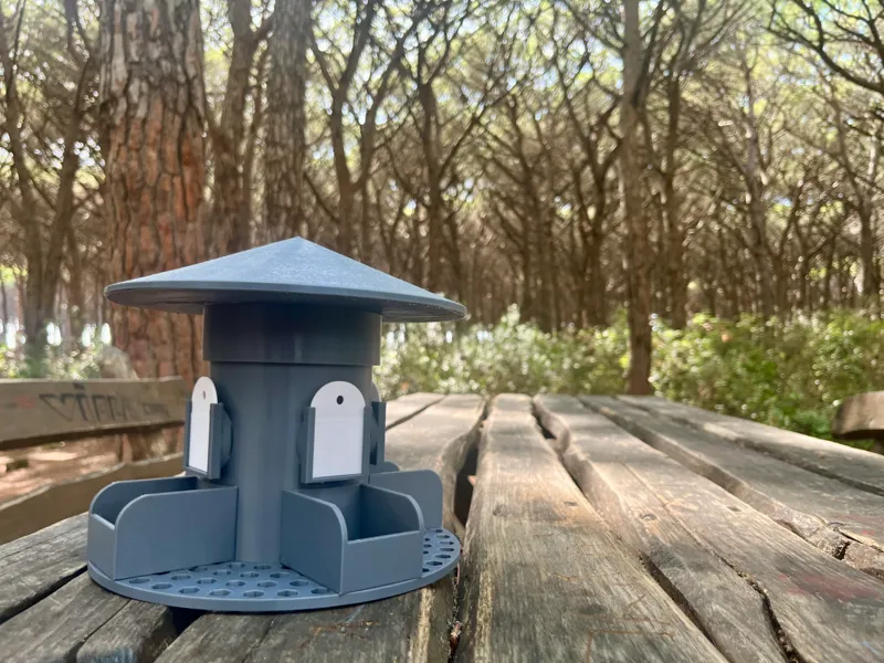 bird feeder