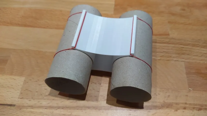 Toilet paper binoculars 