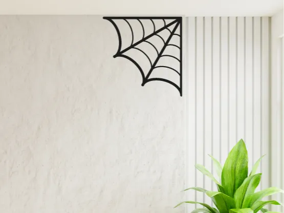 Spider web Wall Decor Design