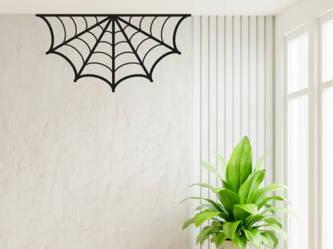Spider web Wall Decor Design