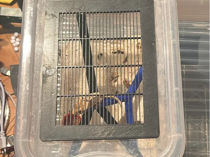 ventilation grid for ciliatus