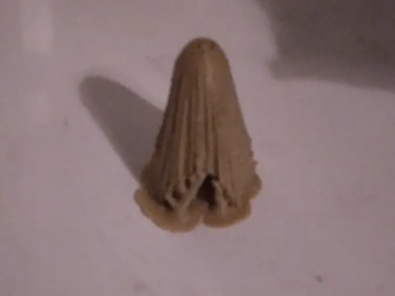 Invisible Ghost Cloth