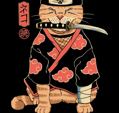 Cat akatsuki (1)
