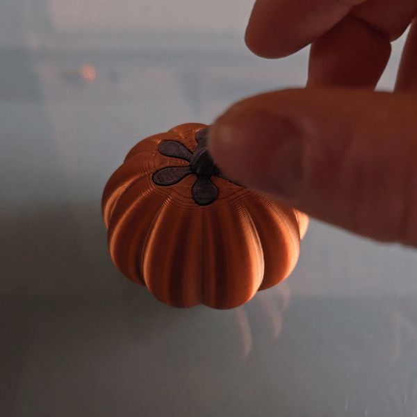 https://makerworld.bblmw.com/makerworld/model/DSM00000000638921/design/2024-09-13_651747b18fb398.gif