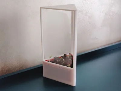 Terrarium Triangle