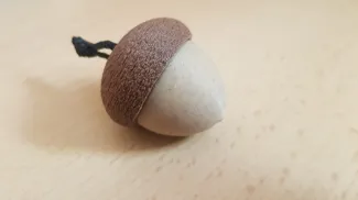 Acorn Container