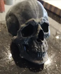 Crâne décoratif d'Halloween — photo 1