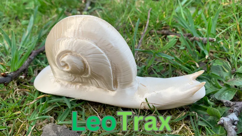 Weinbergschnecke