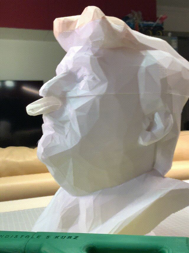 President Donald J Trump Tissue Box