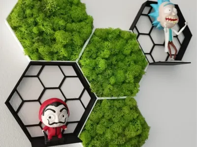 Honeycomb shelf, moss shelf, wall decoration, plant storage grid