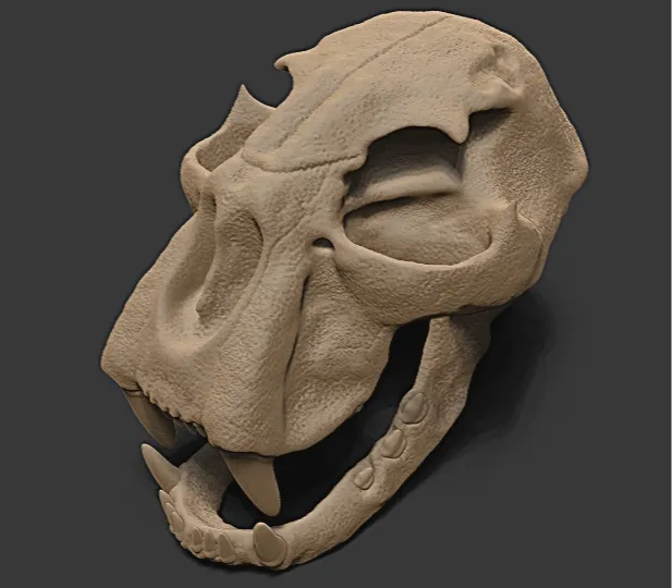 Cheetah Skull Decor