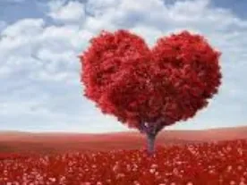 Amour