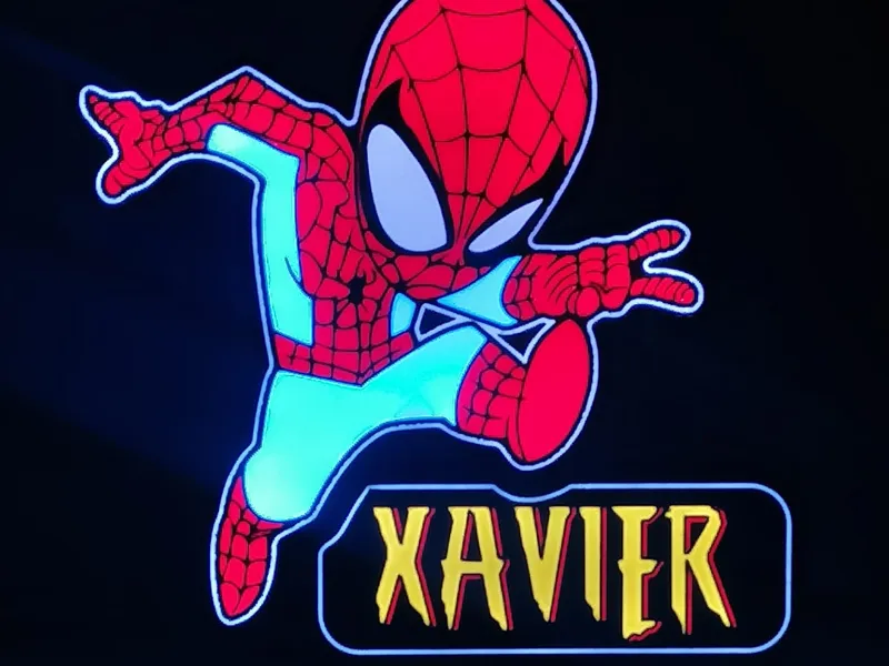 SPIDER MAN