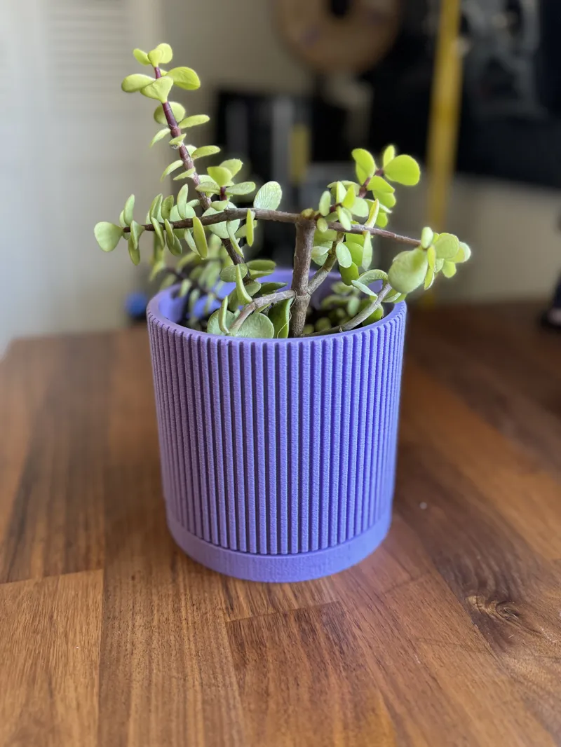 Mid Century Modern Plant Pot with Drip Tray 