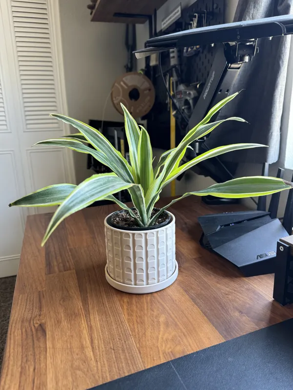 Mid Century Modern Plant Pot with drip tray