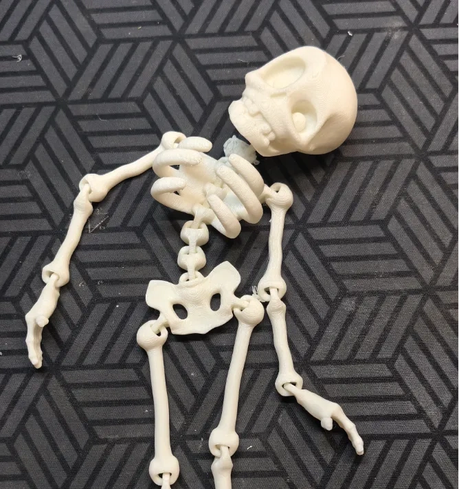 Skeleton by user_1567228792 - MakerWorld