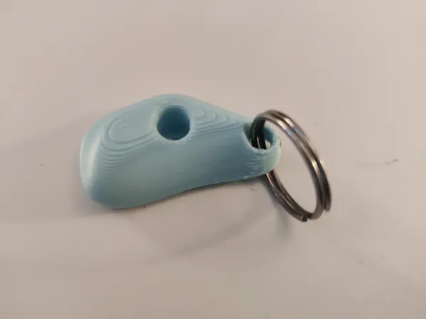 https://makerworld.bblmw.com/makerworld/model/DSM00000000654598/design/2024-09-21_auq3bwygwzj8.jpg