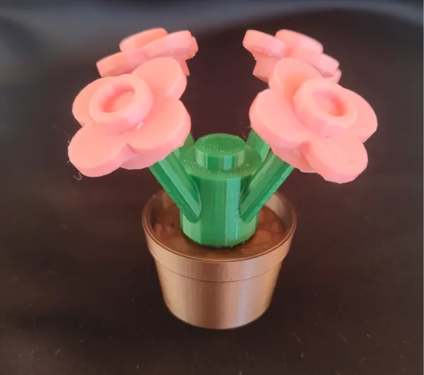 https://makerworld.bblmw.com/makerworld/model/DSM00000000654829/design/2024-09-21_8dabb678bfa8e.jpg