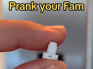 Fridge Water Sprayer Prank
