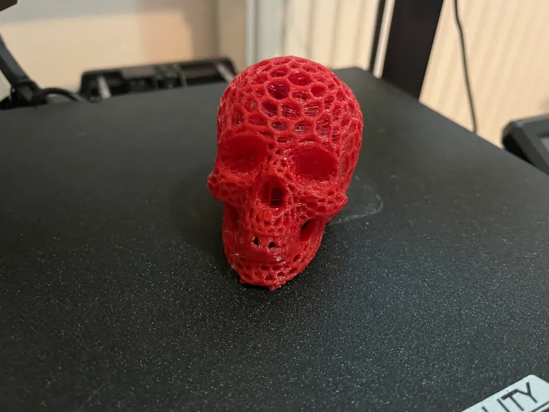 Skull!!