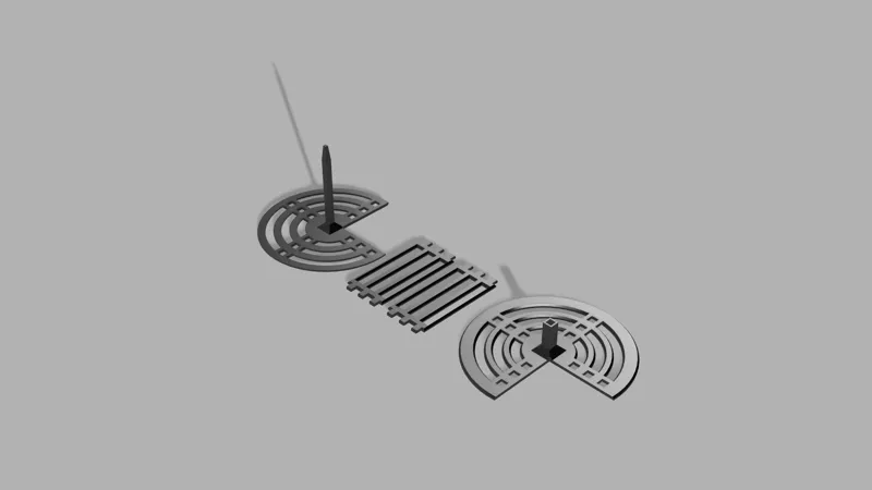 Fly Cage