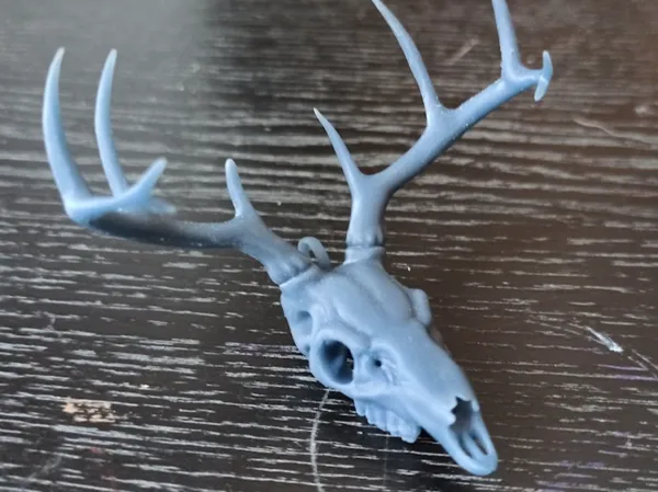 https://makerworld.bblmw.com/makerworld/model/DSM00000000661543/design/2024-09-24_3d300f83c0652.jpg
