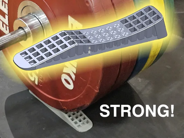 https://makerworld.bblmw.com/makerworld/model/DSM00000000661882/design/2024-09-25_ayp0lih47rfg.png