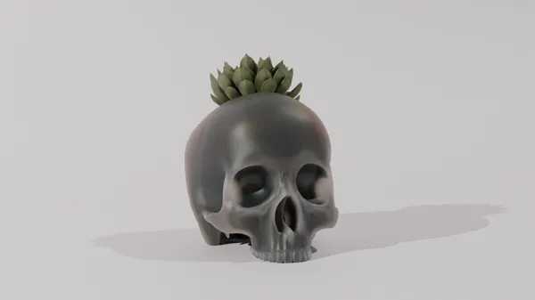 https://makerworld.bblmw.com/makerworld/model/DSM00000000662460/design/2024-09-25_9lsxu532c0x8.png