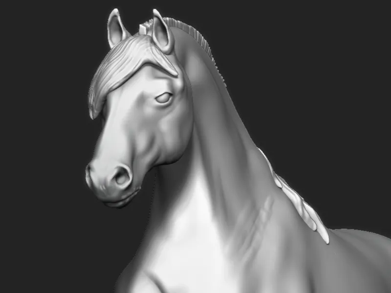 Criollo Horse