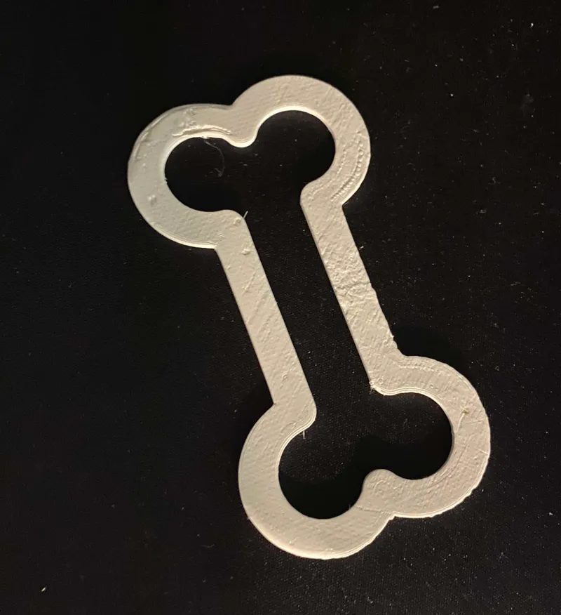Bone