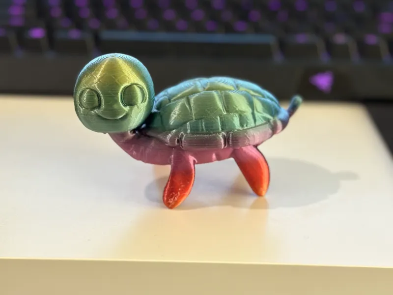 Smiley Turtle