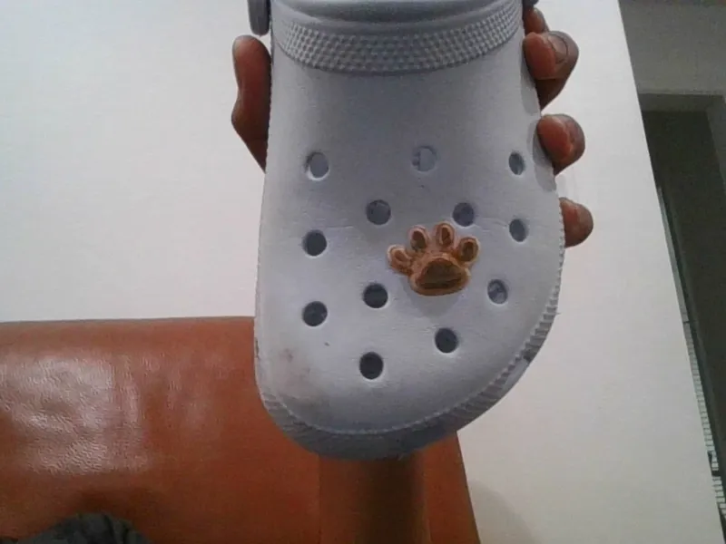 Paw Croc Charm
