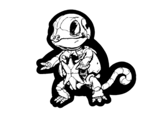 squirtle skull
