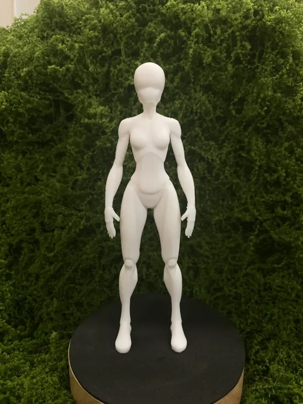 https://makerworld.bblmw.com/makerworld/model/DSM00000000666727/design/a0fb31c9-ddb9-4df2-8b34-013727c22541.webp