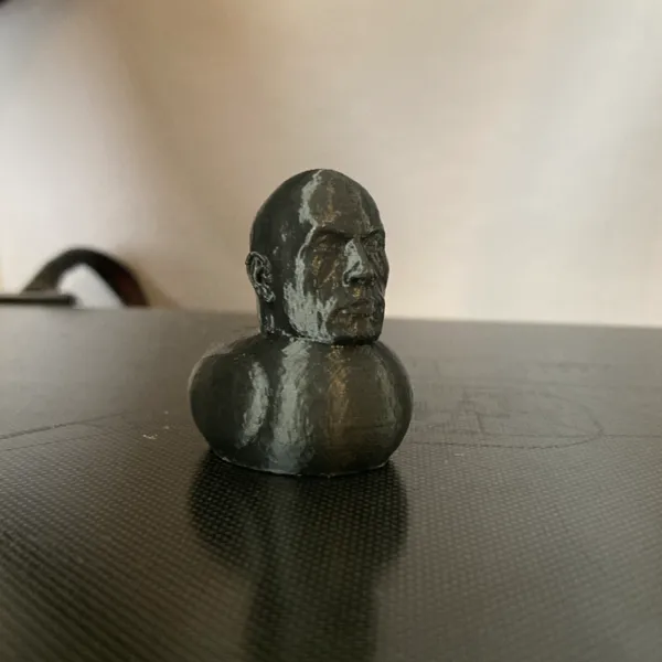 https://makerworld.bblmw.com/makerworld/model/DSM00000000667838/design/2024-09-27_d157f4ff57499.jpg