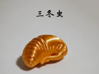 黑神话-三冬虫