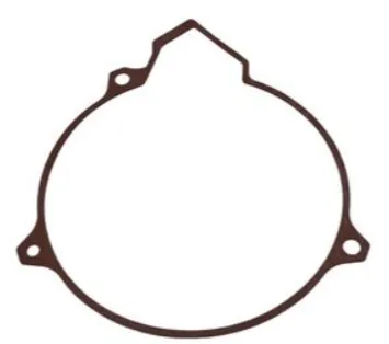 Flywheel Side Gasket Beta Evo tpu