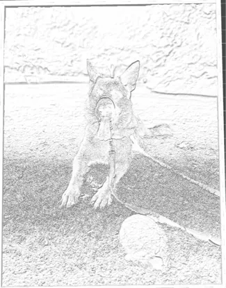 lithophane