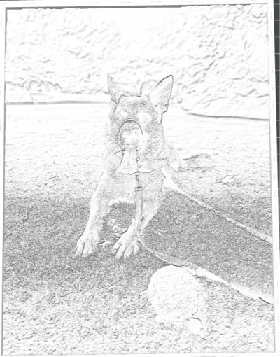 lithophane