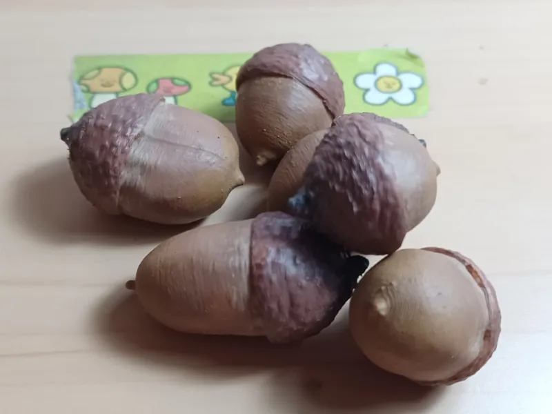 Various Acorns
